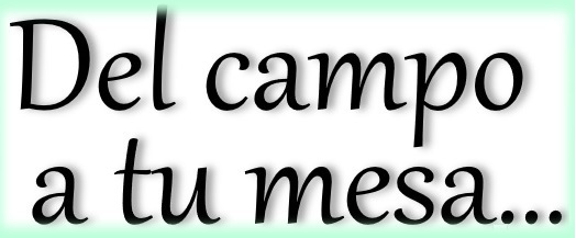 lema